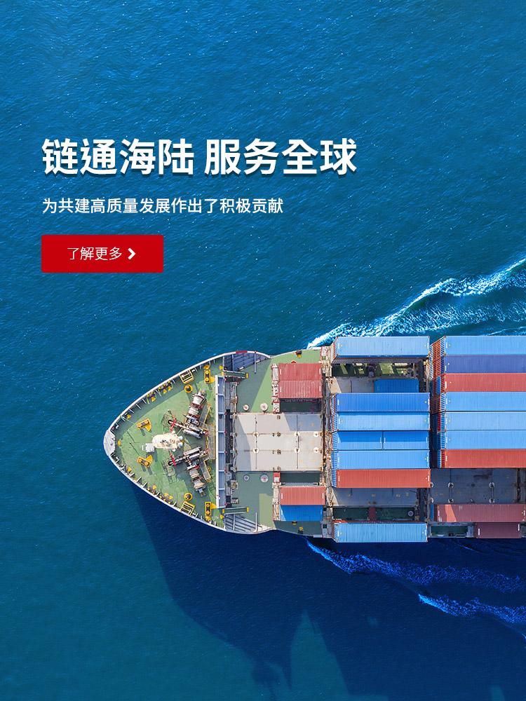 商丘j9游戏国际集装箱有限公司